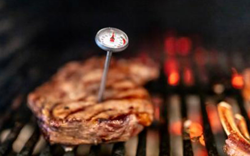 BBQ Meat Temperature Check